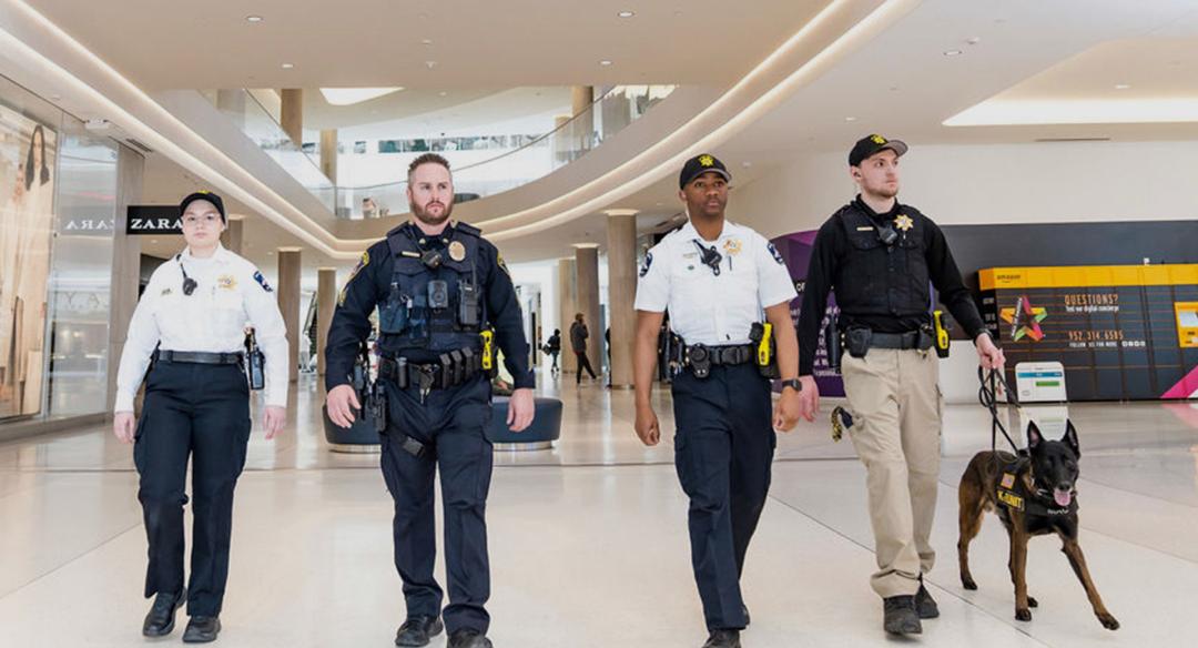 Security and operations team meeting